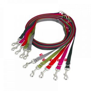 Leash PNG-72115